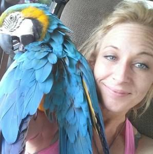 Meet your Posher, Jamie